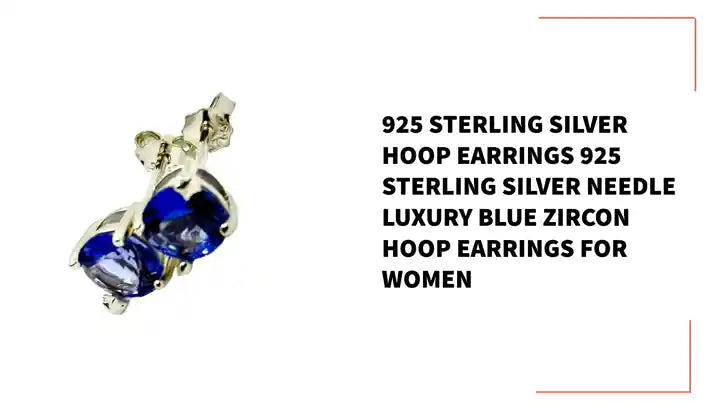 925 Sterling Silver Hoop Earrings 925 Sterling Silver Needle Luxury Blue Zircon Hoop Earrings for Women by@Outfy