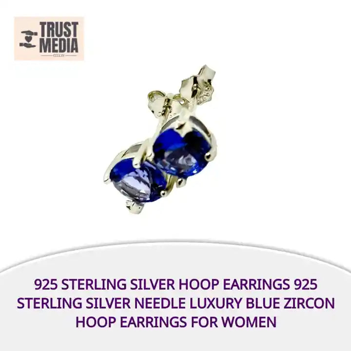 925 Sterling Silver Hoop Earrings 925 Sterling Silver Needle Luxury Blue Zircon Hoop Earrings for Women by@Outfy